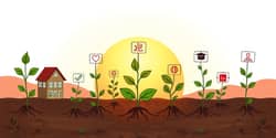Tax-Advantaged Accounts: Maximizing Your Savings